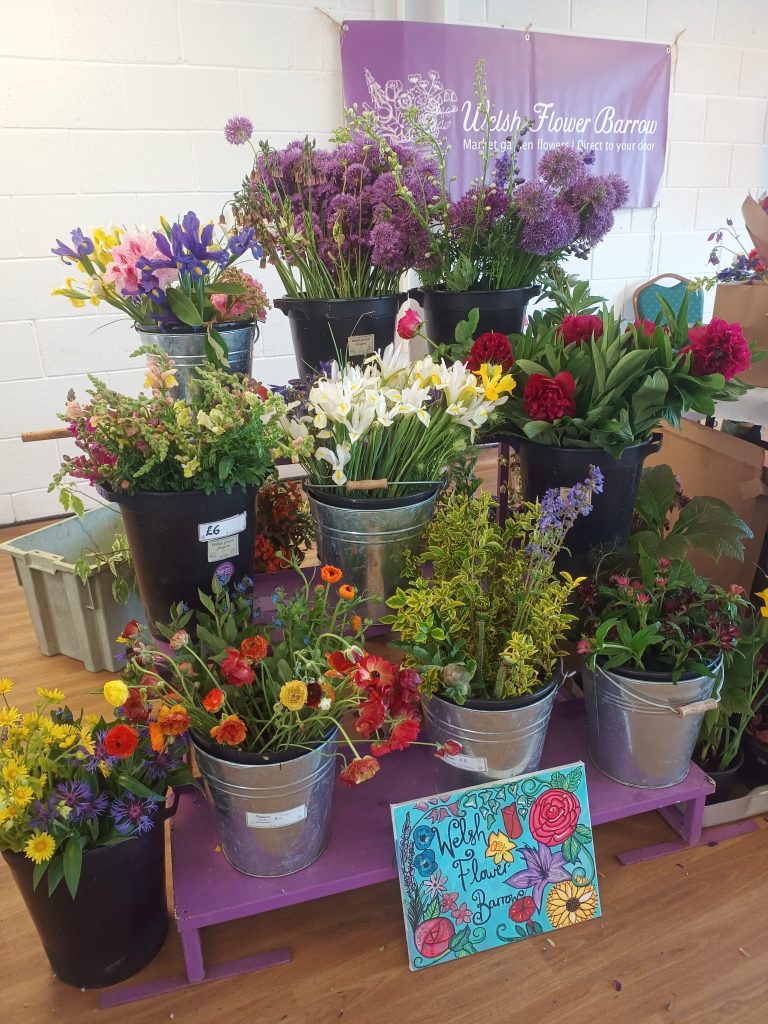 Alliums, Peonies, Iris and Ranunculi